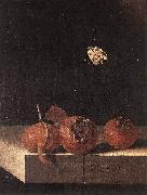 COORTE, Adriaen Three Medlars with a Butterfly df oil on canvas